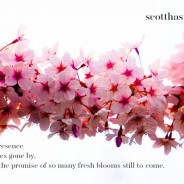 Springtime…