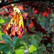 Summer light…