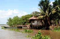 Mekong Delta, South Vietnam