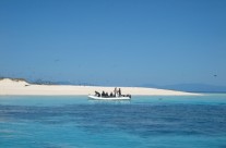 Michaelmas Cay on the Great Barrier Reef, Australia