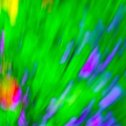 New artwork  ‘Passions Burst’