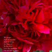 We pause….