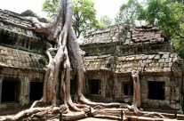 Ta Phrom, Cambodia – View 3