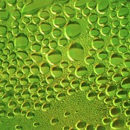 New artwork – Verde